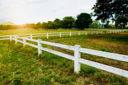 What To Look For When Buying Land For Homesteading Image